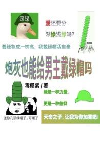 炮灰 男主