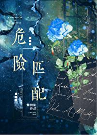 危险匹配[星际