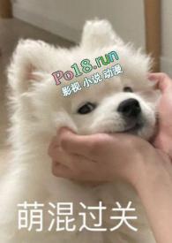 别捏我的小尾巴 作者锦橙