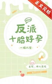 反派十胎好孕TXT笔趣阁